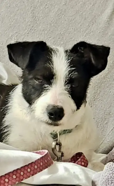 Opal Aka Gladys