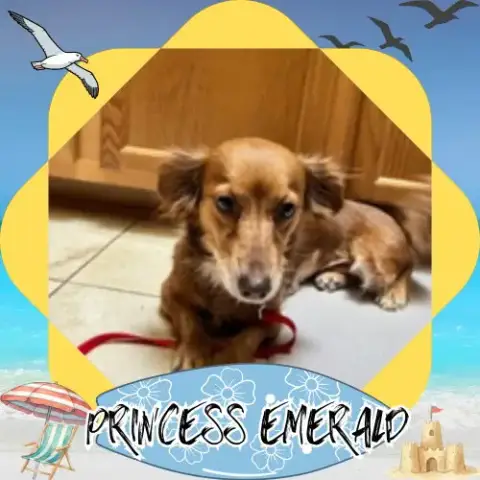 Princess Emerald