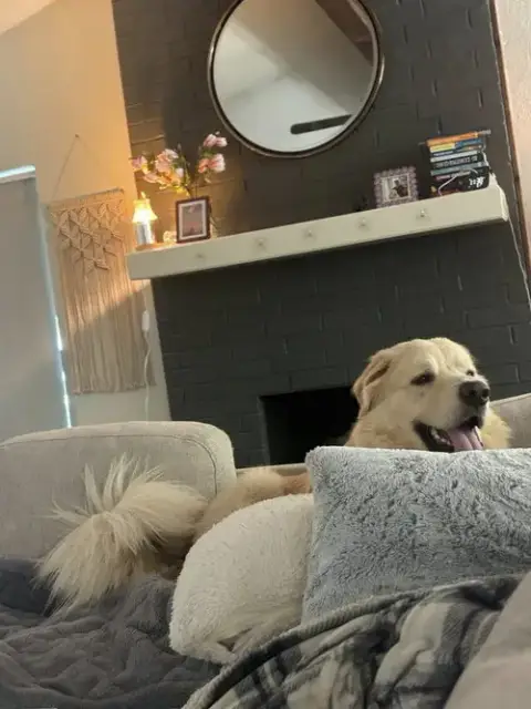 Thor photo 4