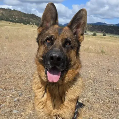 Conrad