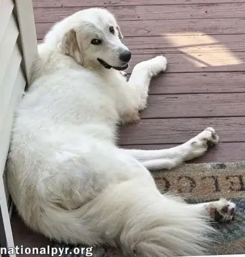 Luna In Nj photo 2