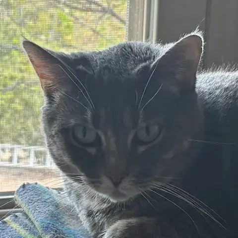 Freya photo 4