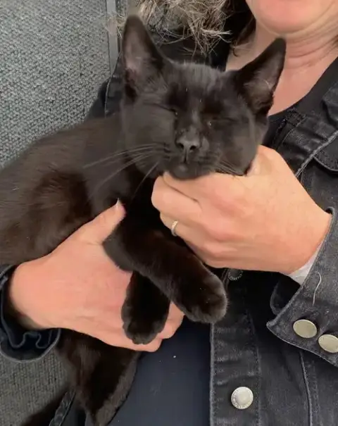 Pepper & Panther photo 5