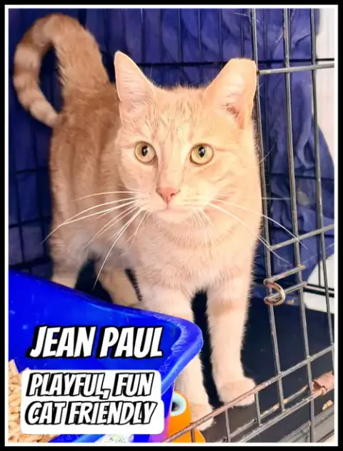 Jean Paul photo 3