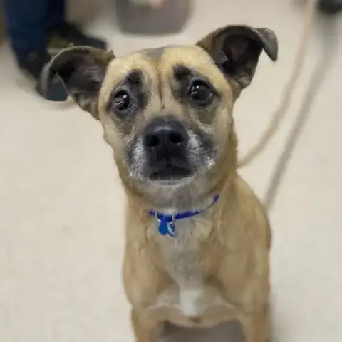Lulu photo 2