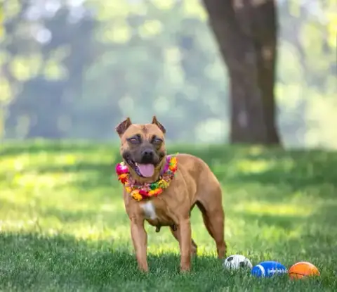 Ella photo 4