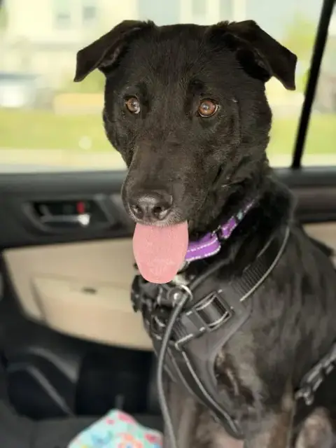 Ernie photo 3