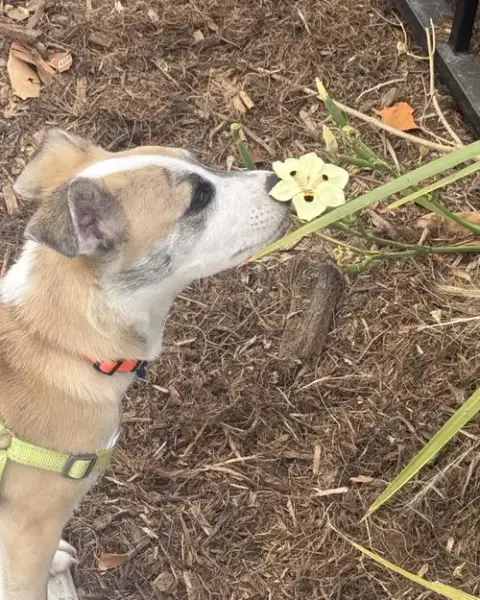 Benjamin photo 5