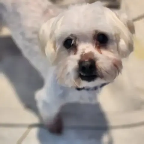 Cooper photo 2
