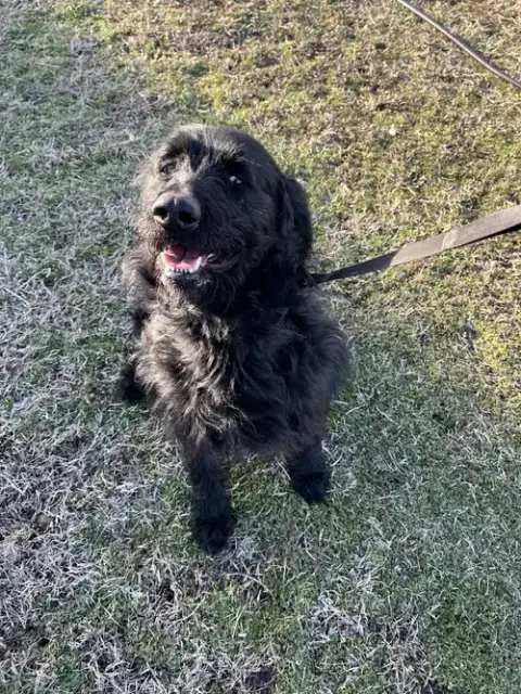 Milo