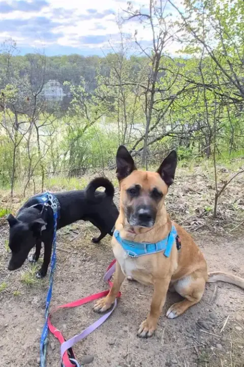 Maxx / Trig photo 2