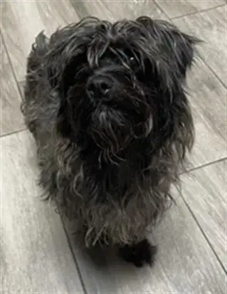 Baby- Pending Adoption