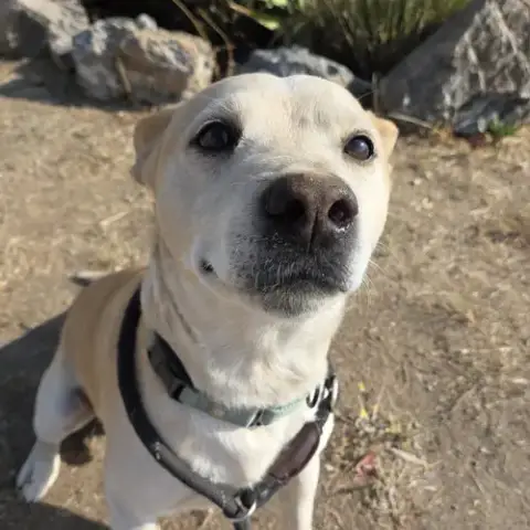 Buster photo 2