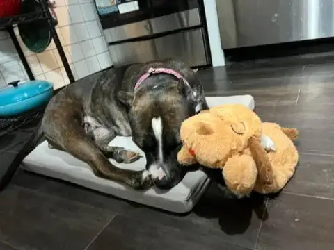 Penelope photo 3