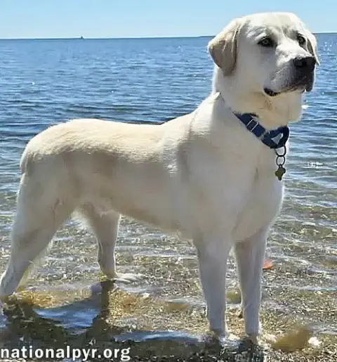 Zeus In Ct photo 3