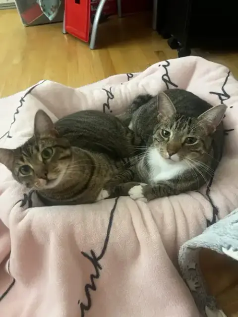 Ella Bonded With Copurrnicus photo 3