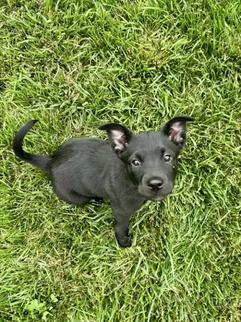 Lucy