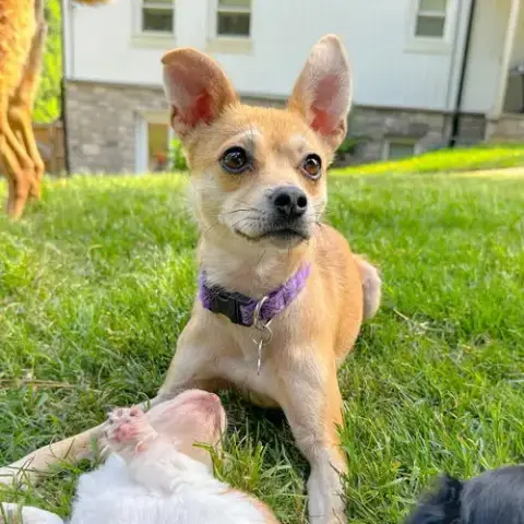 Ellen photo 2