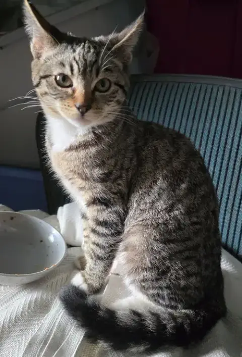 Luna photo 4