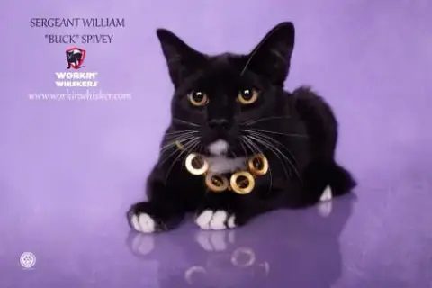 Sergeant William "Buck" Spivey
