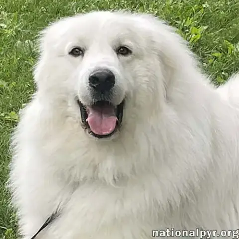 Casper In Ct
