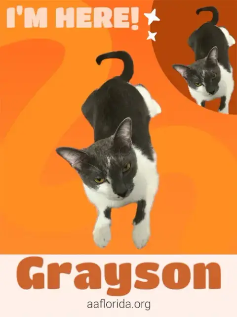 Callie & Grayson photo 2