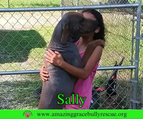Sally 2 photo 4