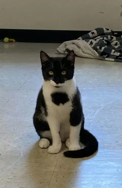 Leia