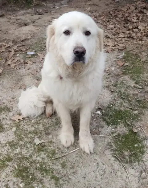 Mama