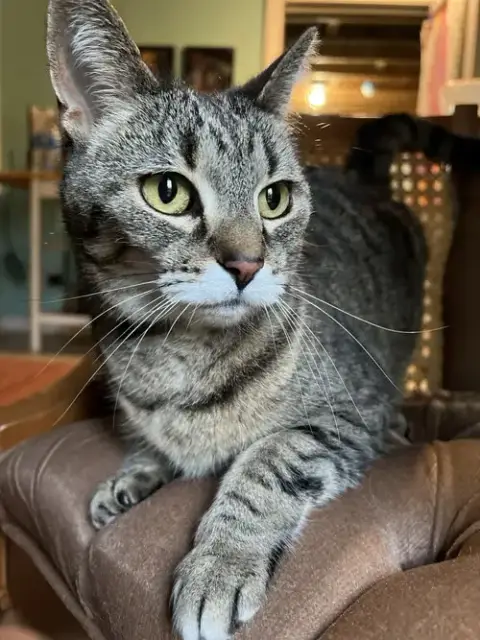 Ruthie