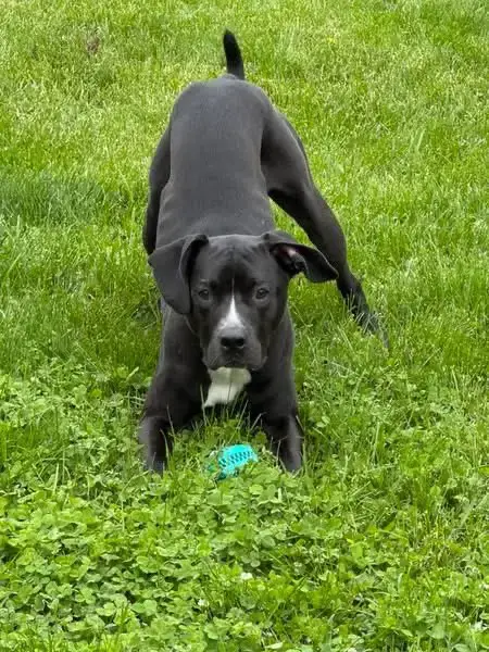 Gunther photo 2