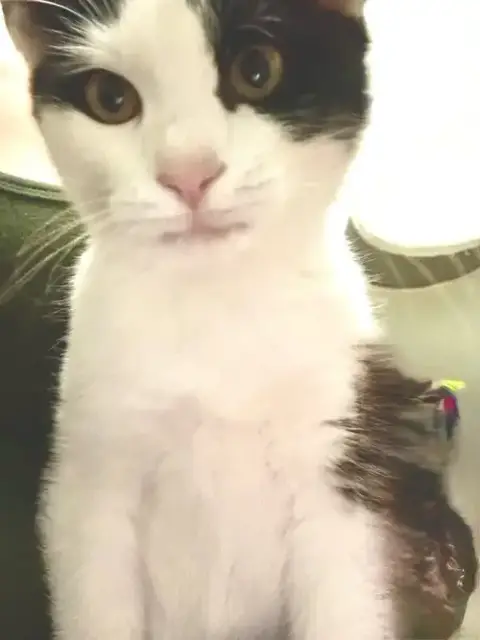 Jack