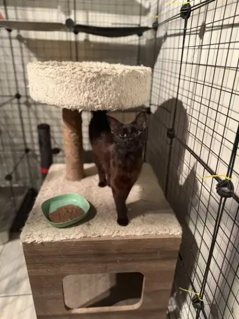 Hera