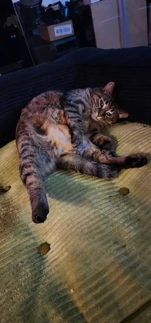 Delilah photo 2