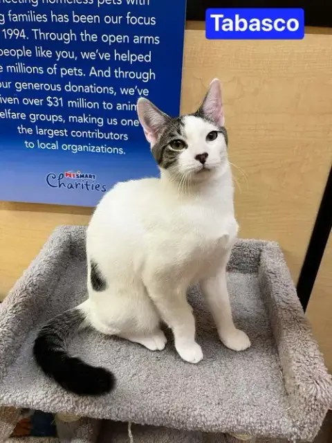 Tabasco