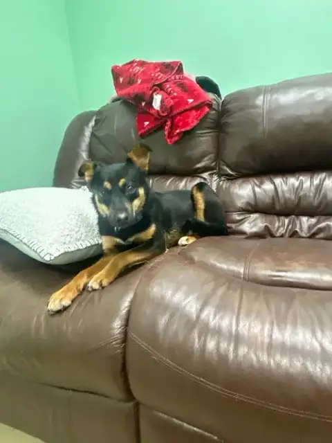 Bailey photo 3