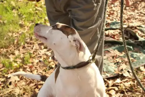 Finley photo 2