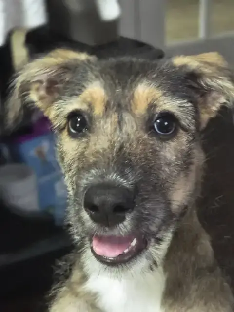 Vinny photo 2