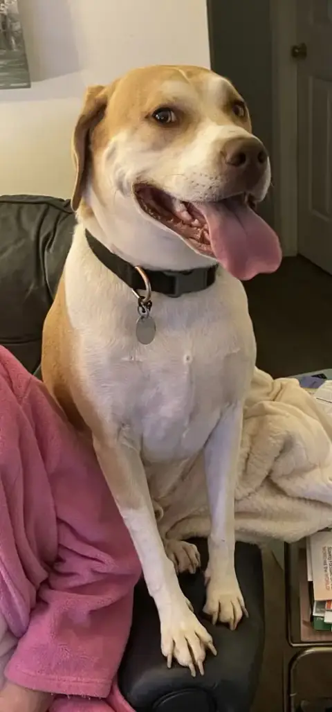 Milo