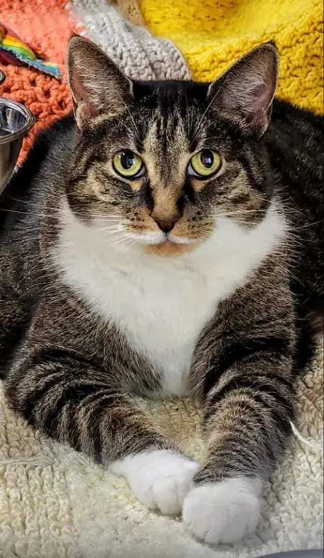 Molly photo 4