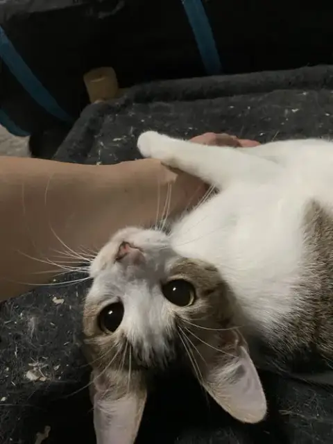 Valentina photo 2