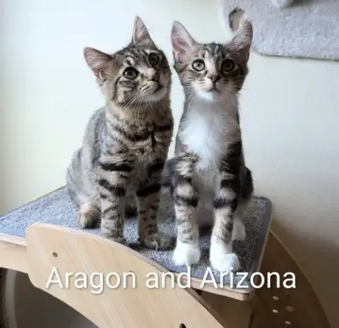 Arizona