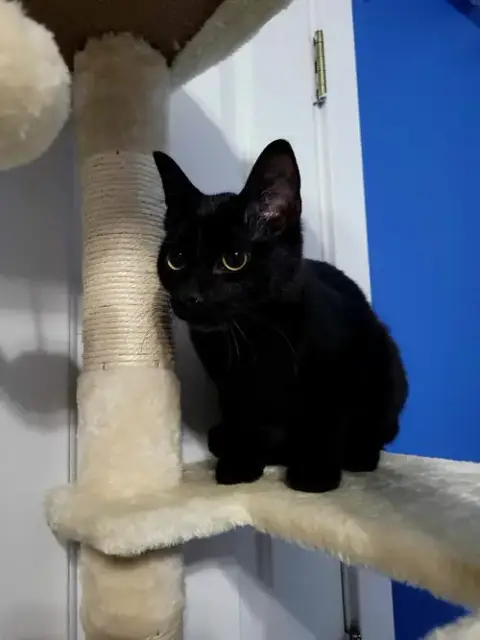 Salem photo 5