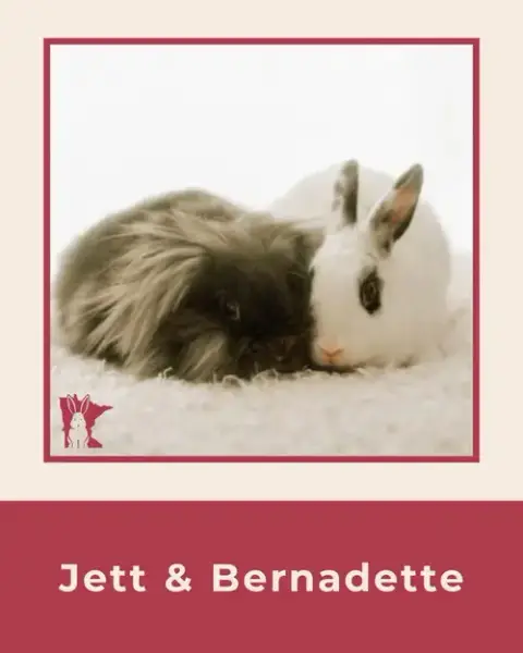 Bernadette photo 4
