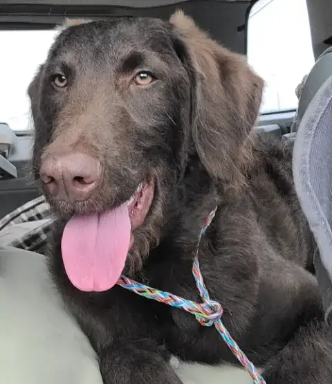 Murphy photo 5