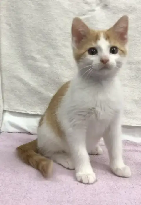 Zeus photo 5