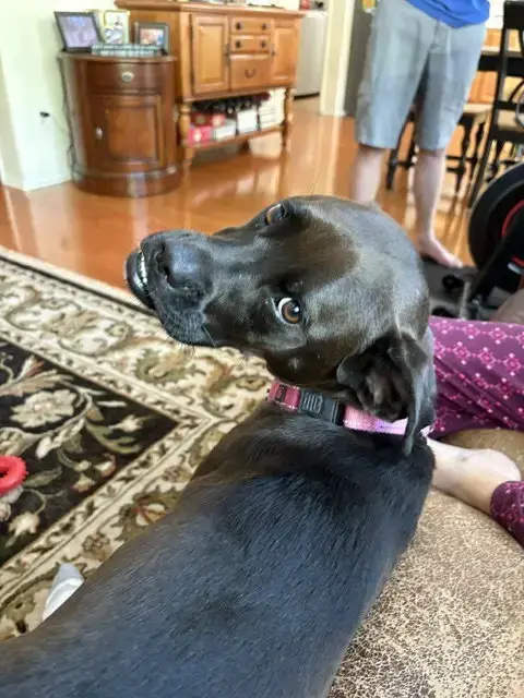 Winnie photo 2