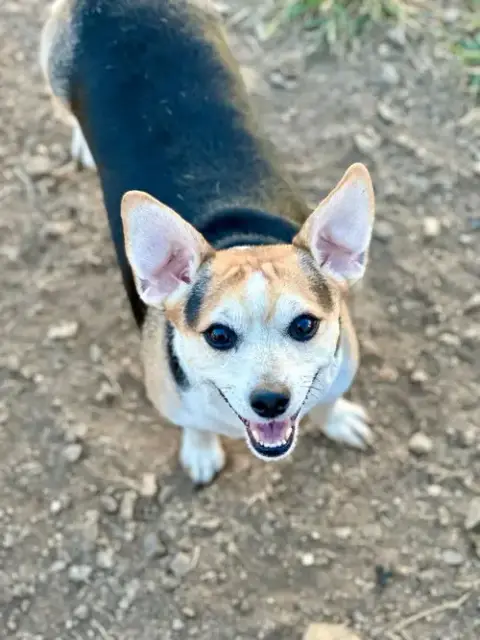 Sweet Girl Lamore Aug 22 photo 3