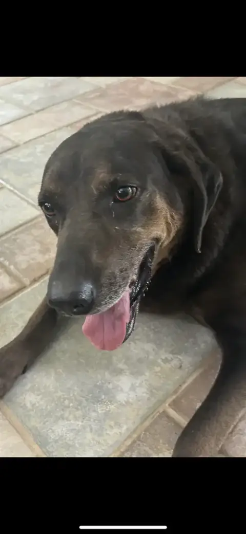 Priscilla photo 3