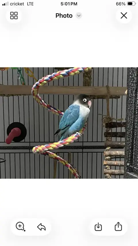 Kiki photo 4